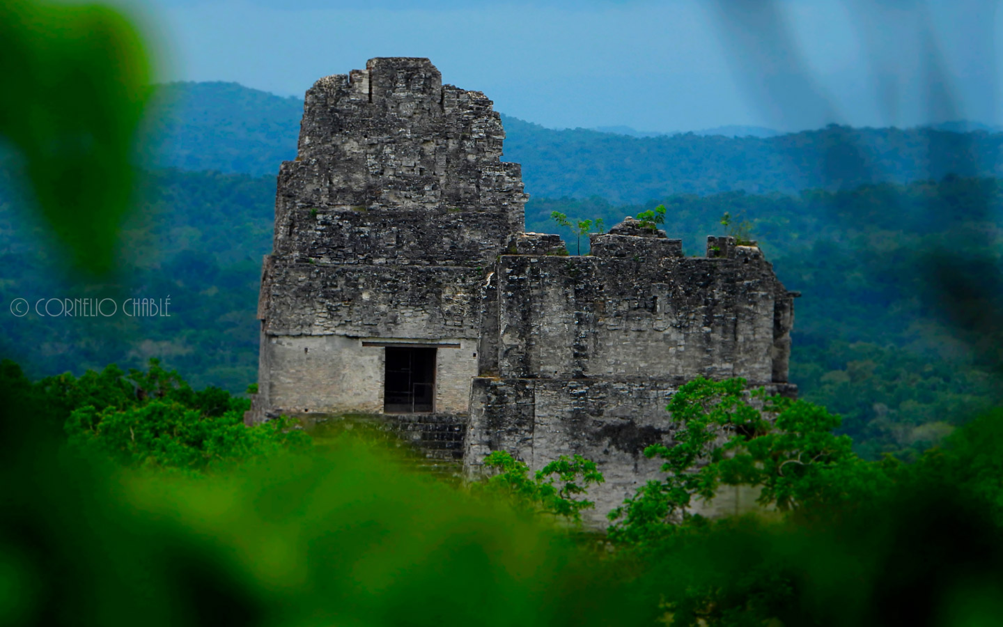 Imagen de Tikal